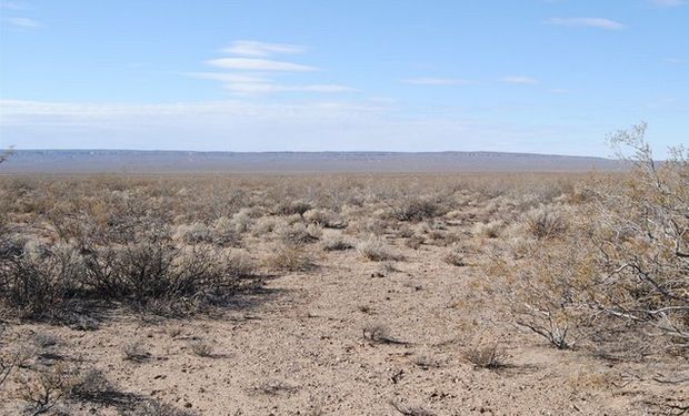 El campo a "transformar" en Neuquén. Foto: LA NACION