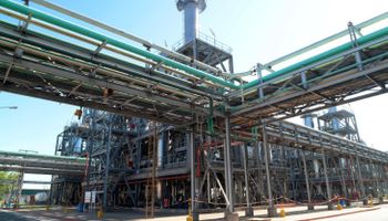 Argentina volverá a exportar aceite de soja a China