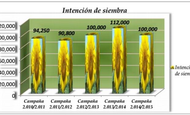 Intención de siembra del girasol en el centro norte santafecino.