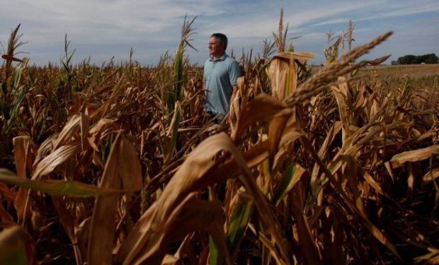 La actividad del sector agropecuario cayó un 30,8% en abril.