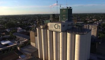Un solo grupo controla el 40% de las exportaciones argentinas de harina de trigo