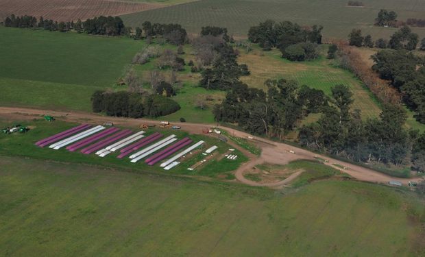 Esta iniciativa se basa en el desarrollo de silo bolsas de color rosa fabricados por IpesaSilo como símbolo de lucha contra el cáncer.