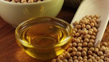 Por su negocio de biodiesel, Molinos perdió $ 10 millones en el primer semestre