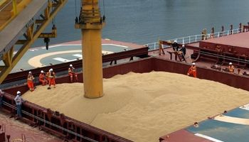 Nuevo escenario mundial: lo más destacado del último informe del USDA
