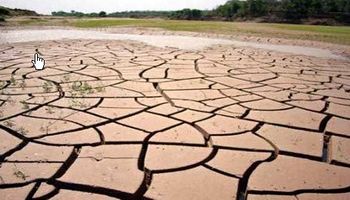 Una histórica y feroz sequía arrasa la producción agropecuaria salteña