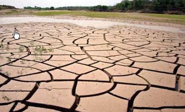 Una histórica y feroz sequía arrasa la producción agropecuaria salteña