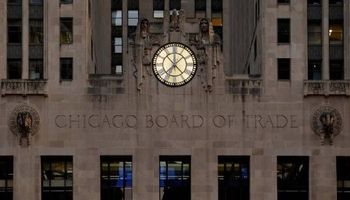 La soja busca recuperarse tras las fuertes bajas en Chicago