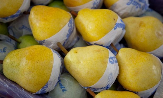 Buscan aprovechar la gran oportunidad para las exportaciones de fruta argentina.