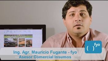 Márgenes ajustados detienen las compras de insumos