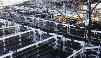 Sin actividad para Liniers y Rosario
