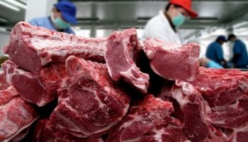 Shock de exportaciones de carne vacuna: podrían crecer 180% en 10 años