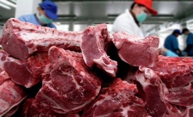 ¿Cómo pueden crecer las exportaciones y producción de carne vacuna en Argentina en los próximos 10 años?