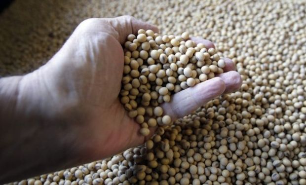 El Secretario de Agricultura de EE.UU. anunció que el plan tendrá un presupuesto de 12.000 millones de dólares.