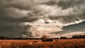 El Niño ya es un hecho, ¿cuál será su intensidad?