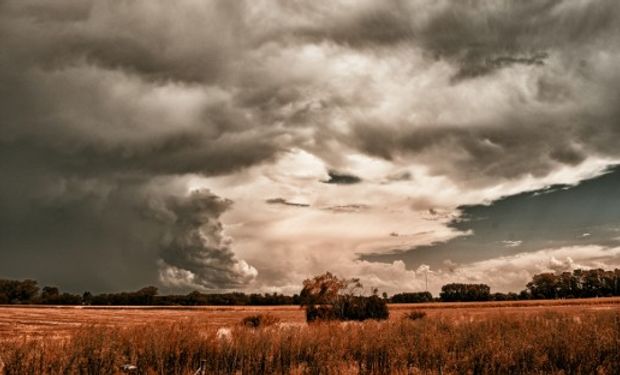 Pronóstico de El Niño al 18 de julio.