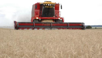 Argentina está en condiciones de producir 27 millones de toneladas de trigo