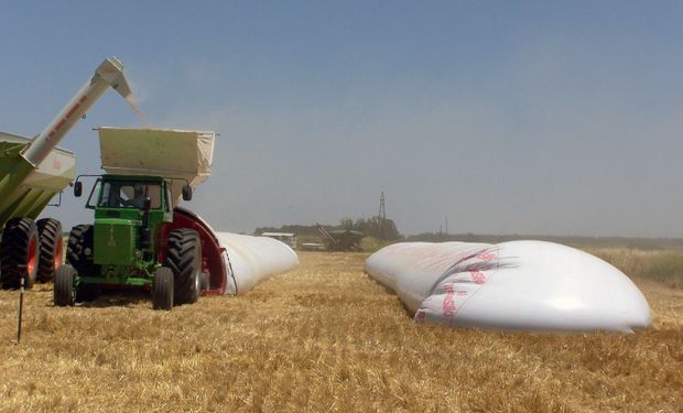 La principal herramienta para minimizar el desarrollo de micotoxinas es el almacenamiento de los granos secos.