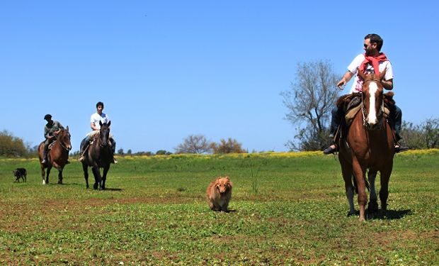 Feriados 2020: ¿Cuál es el próximo fin de semana largo durante julio?