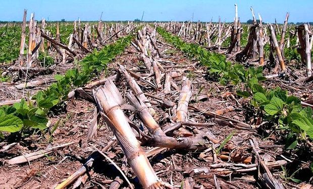 El objetivo es certificar la sustentabilidad del sistema de producción argentino, una iniciativa del Grupo de Países Productores del Sur (GPS).