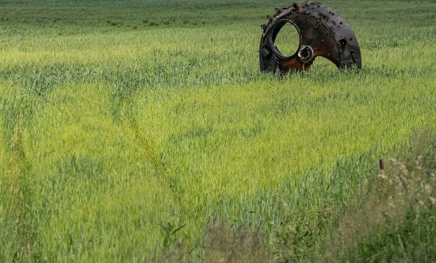 El trigo cayó a valores previos a la guerra: cuánto se pagó en Rosario