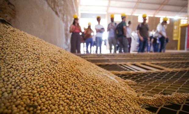 Los datos de inflación en EE.UU. lleva pérdidas para la soja, trigo y maíz en Chicago
