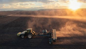 ¿Se viene un boom? Elevan la proyección de siembra de trigo en 100.000 hectáreas 