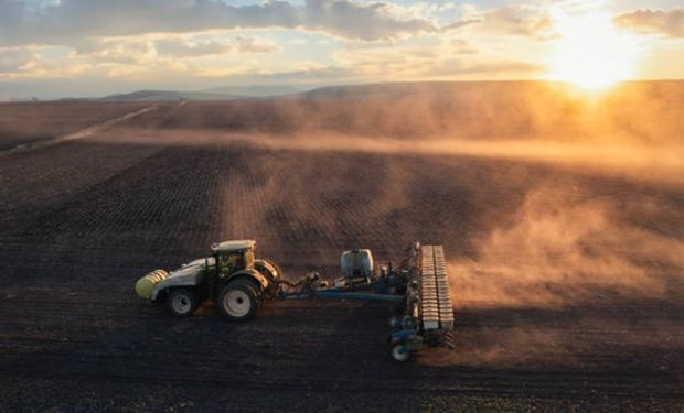 ¿Se viene un boom? Elevan la proyección de siembra de trigo en 100.000 hectáreas 