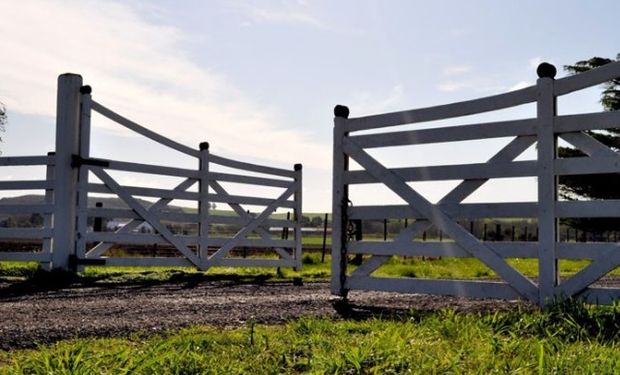 Plan del Gobierno para incentivar la inversión extranjera en tierras.