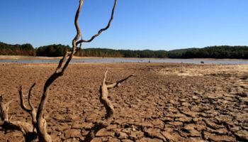 Seca no Brasil é a mais intensa da história, diz Cemaden