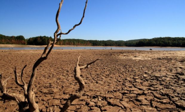 Seca no Brasil é a mais intensa da história, diz Cemaden