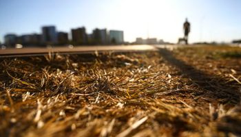 Semana será de tempo seco na maior parte das regiões produtoras