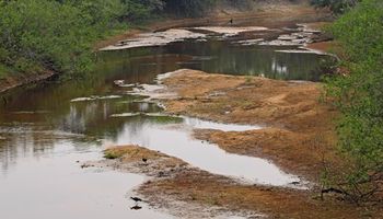 Com seca histórica no Pantanal, agência declara escassez hídrica na Bacia do Paraguai