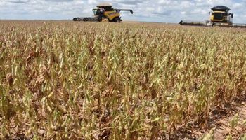 Seca no Matopiba acende alerta e força revisão na safra de soja do Brasil