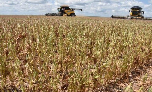Seca no Matopiba acende alerta e força revisão na safra de soja do Brasil