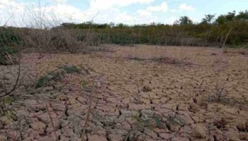 Seca em MG afeta 326 mil produtores e causa prejuízo de R$ 1,8 bilhão