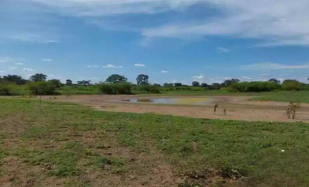 Segundo a Emater-MG, a área de grãos perdida soma 92 mil hectares, principalmente de milho, feijão e soja. (Foto: Defesa Civil)