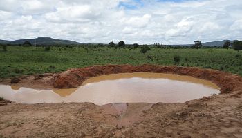 Norte de MG pede socorro por seca histórica e Câmara cobra governo federal 