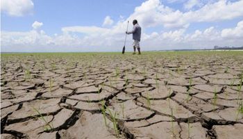 Bahia pede socorro por maior seca dos últimos 40 anos
