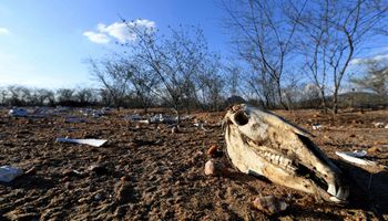 Estudo prevê primeiro deserto do Brasil em região estratégica para o agro