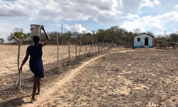 A região está localizada no Norte da Bahia, ente as microrregiões de Itaparica e Sertão do São Francisco, onde residem mais de 1 milhão de pessoas. (foto - CNA)