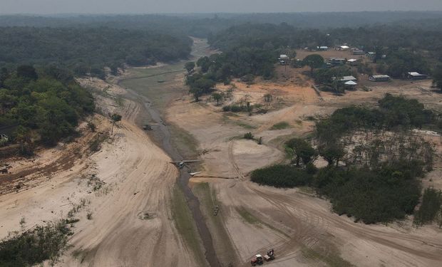 A expectativa é de que o Brasil embarque entre 52 e 57 milhões de toneladas do cereal até janeiro. (foto - Agência Brasil)