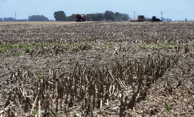 Una por una: cuáles son las medidas que anunció el Gobierno para los productores afectados por la sequía