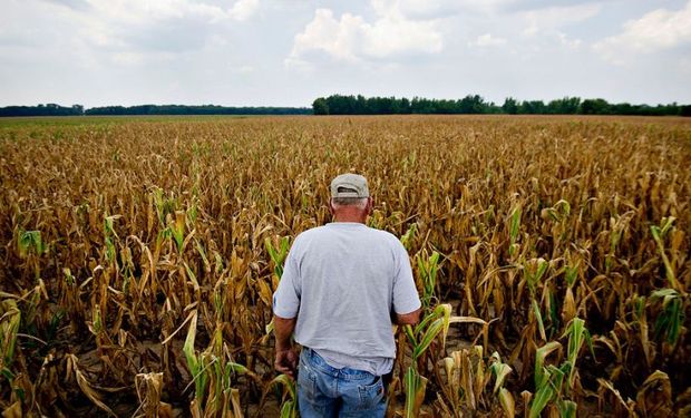 A pesar del cambio de época, en el siglo XXI, algunos productores aún se destacan sobre el resto como popes de la producción.