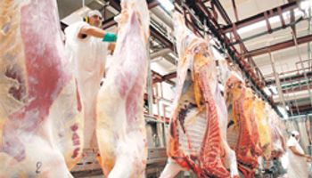 Paraguay busca ser quinto exportador de carne