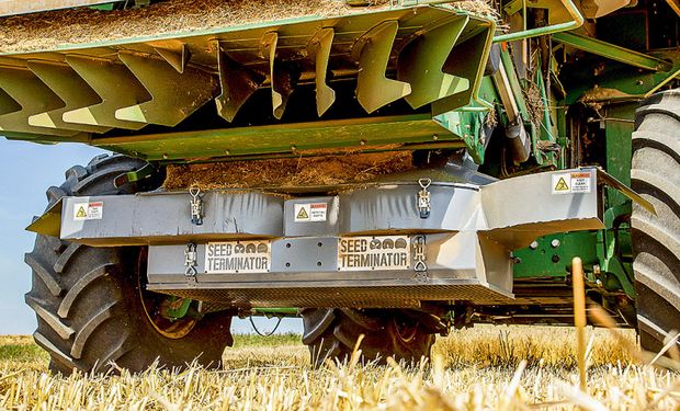 Malezas: desde el "Terminator" de semillas hasta la limpieza de maquinaria, métodos para evitar la dispersión en cosecha