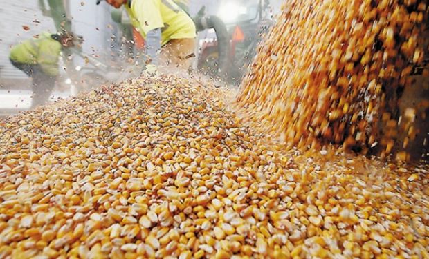 osecha agrícola de este año será la mejor segunda de la historia.