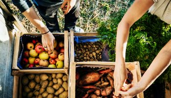 Croplife: qual a situação da segurança alimentar?