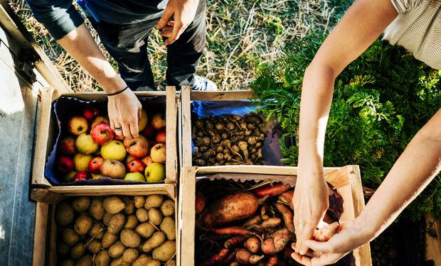 Croplife: qual a situação da segurança alimentar?