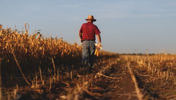 Agricultura familiar renegocia mais de R$ 6 bilhões em dívidas pelo Desenrola Rural