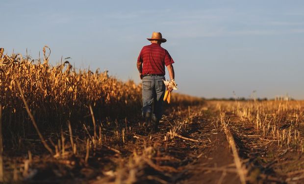 Agricultura familiar renegocia mais de R$ 6 bilhões em dívidas pelo Desenrola Rural